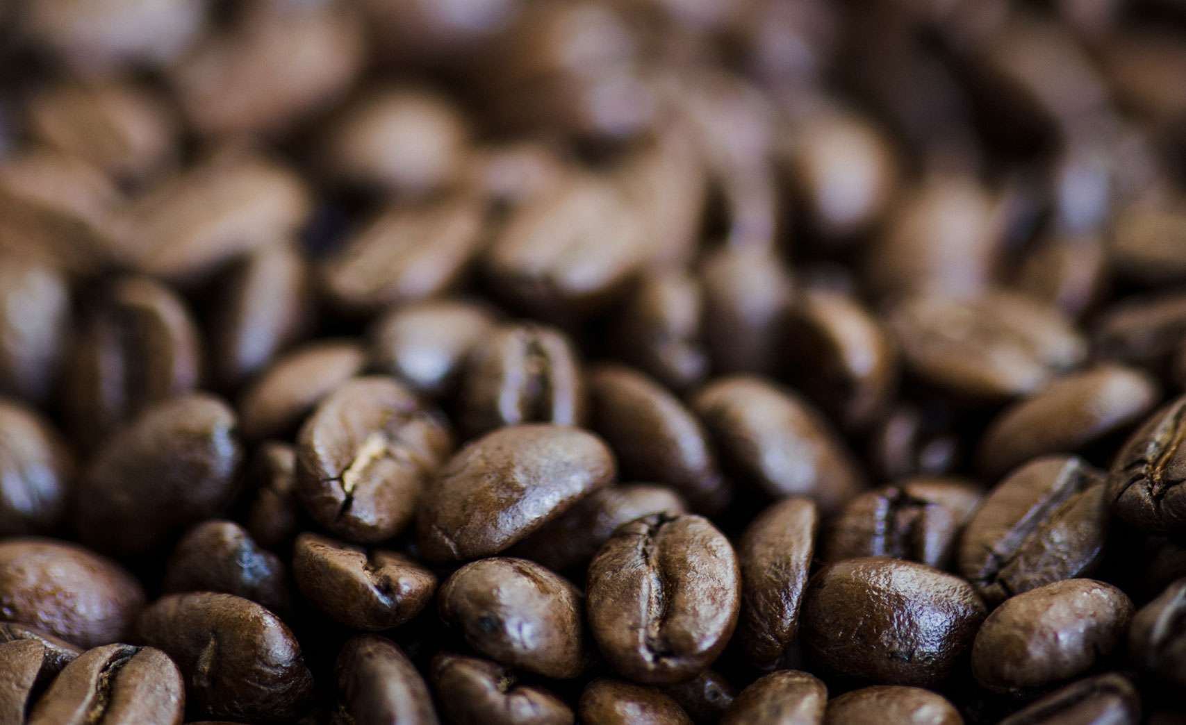 Jamaica Coffee Corporation Srl a Alessandria